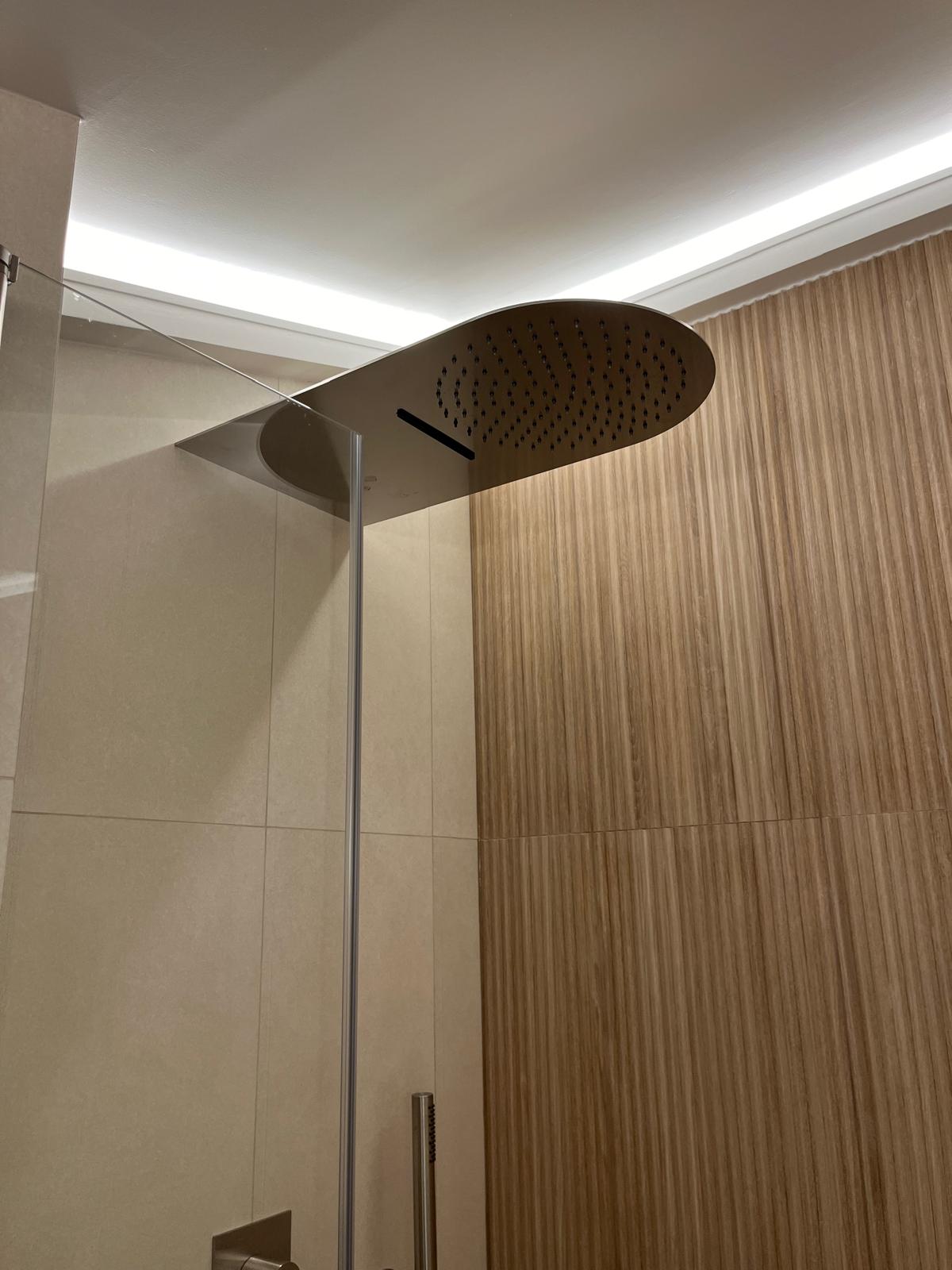 Pommeau de douche pluie et éclairage au plafond de la même douche — chantier CAREN